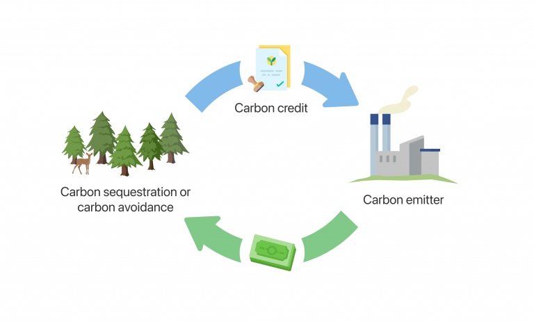 Carbon Credits: The Overview of the Growth of The Market