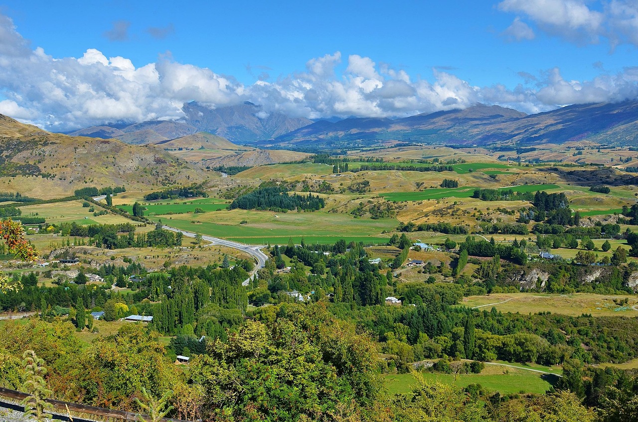 The scenery, new zeland, new landscape — Finding the Right Memory Care Home: A Comprehensive, Human Guide