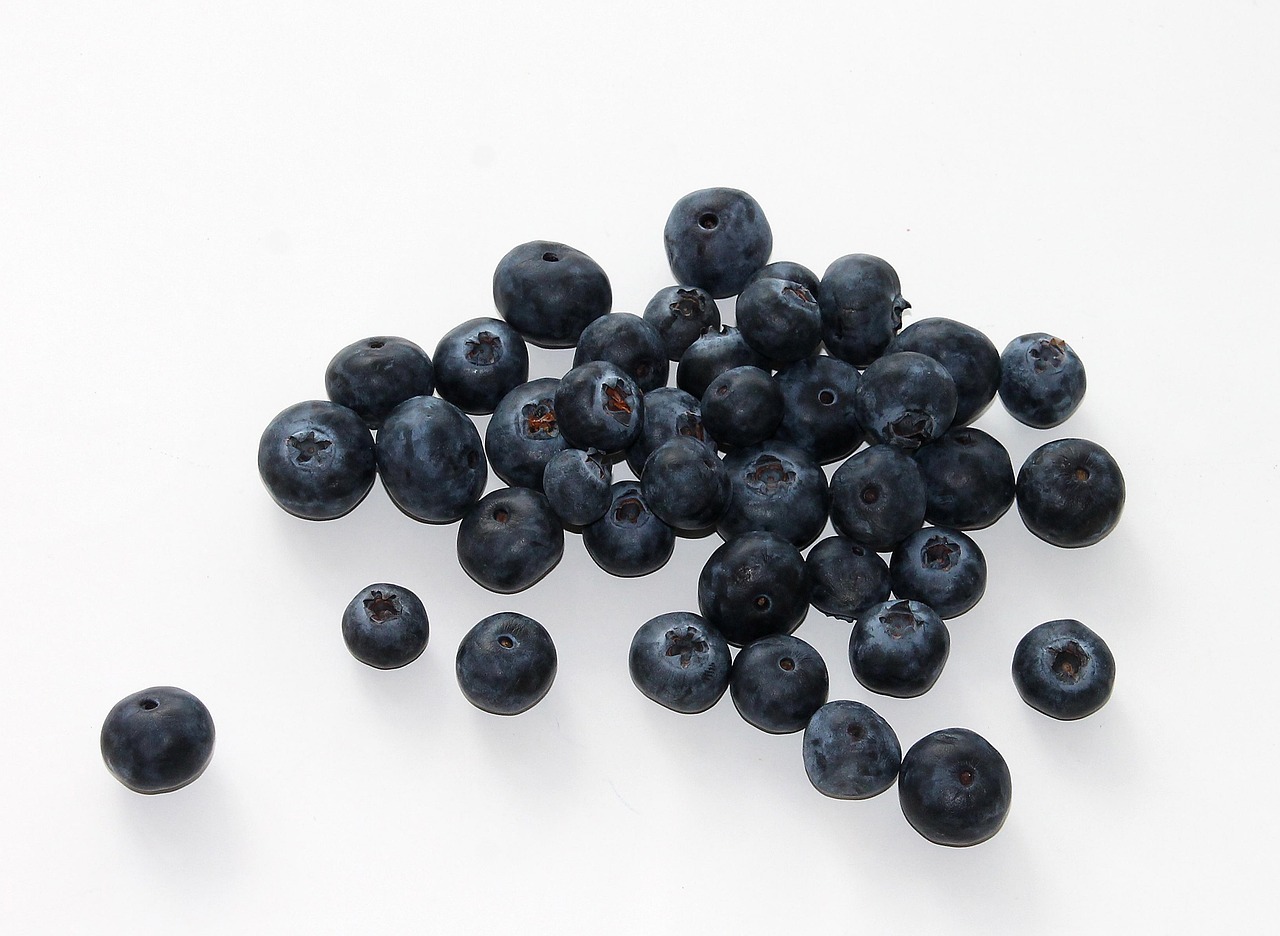 Blueberry, fruit, food — How Robert Spadoni is Shaping the Next Era of Healthcare